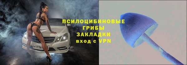 прущие грибы Вязники